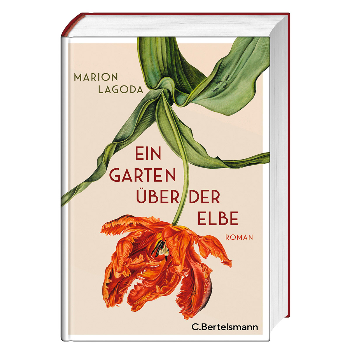 Ein Garten über der Elbe von Bertelsmann Verlag