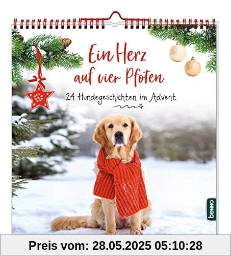 Ein Herz auf vier Pfoten: 24 Hundegeschichten im Advent