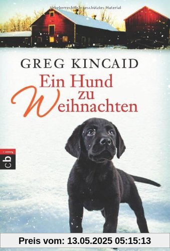 Ein Hund zu Weihnachten