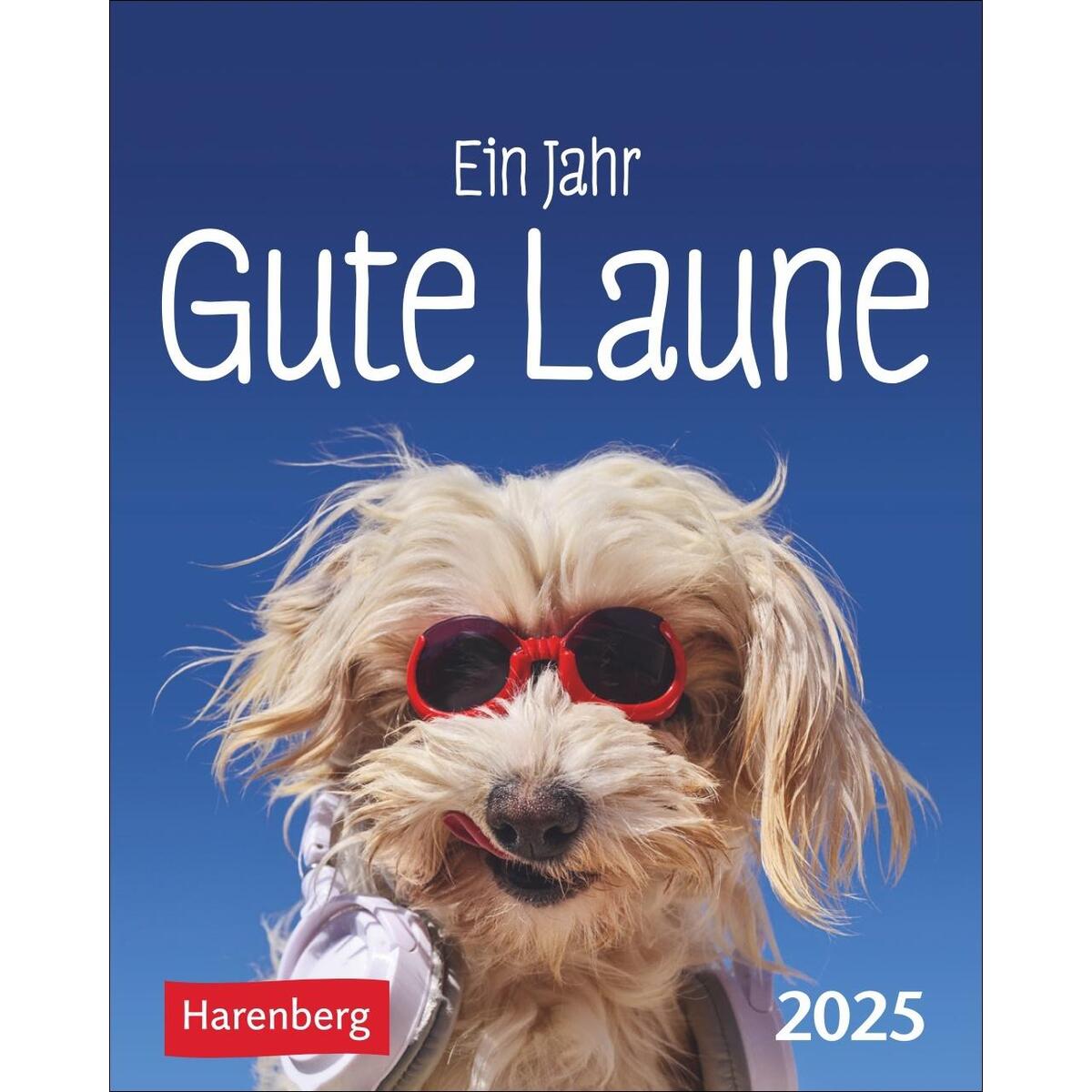 Ein Jahr gute Laune Mini-Geschenkkalender 2025 von Harenberg