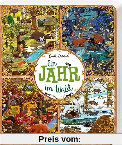 Ein Jahr im Wald: Pappbilderbuch Tiere und Jahreszeiten im Wald, ab 3 Jahren