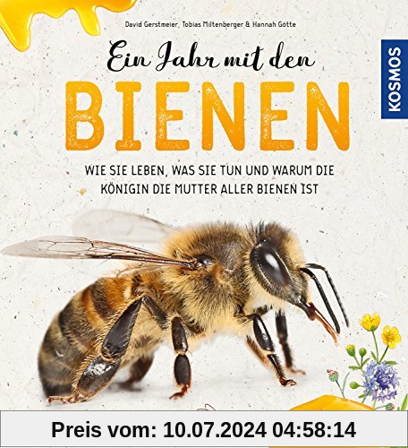 Ein Jahr mit den Bienen: Wie sie leben, was sie tun und warum die Königin die Mutter aller Bienen ist.