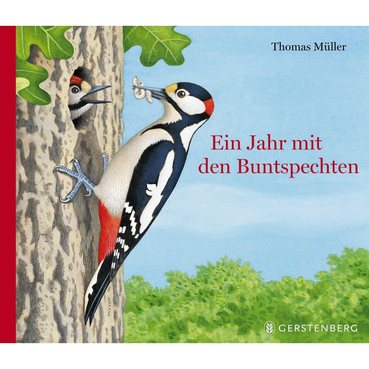 Ein Jahr mit den Buntspechten von Gerstenberg Verlag