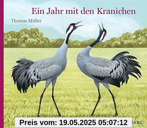 Ein Jahr mit den Kranichen