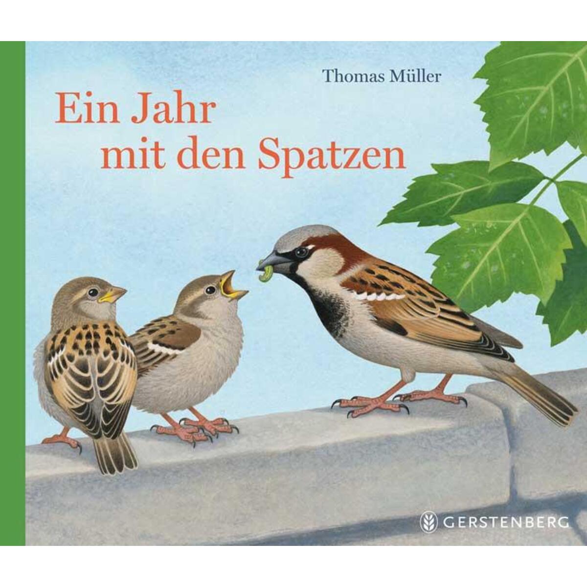 Ein Jahr mit den Spatzen von Gerstenberg Verlag