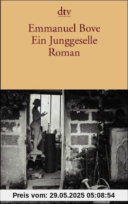 Ein Junggeselle: Roman