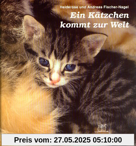 Ein Kätzchen kommt zur Welt Ein Kätzchen kommt zur Welt