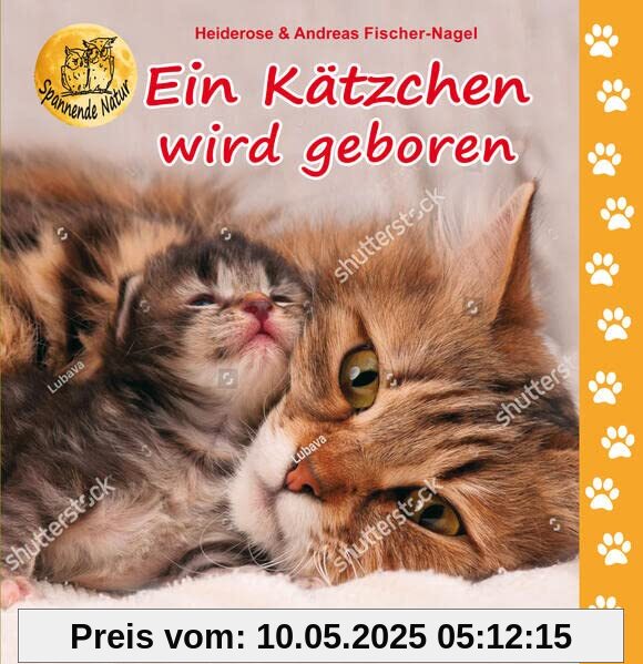 Ein Kätzchen wird geboren