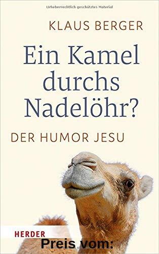 Ein Kamel durchs Nadelöhr?: Der Humor Jesu
