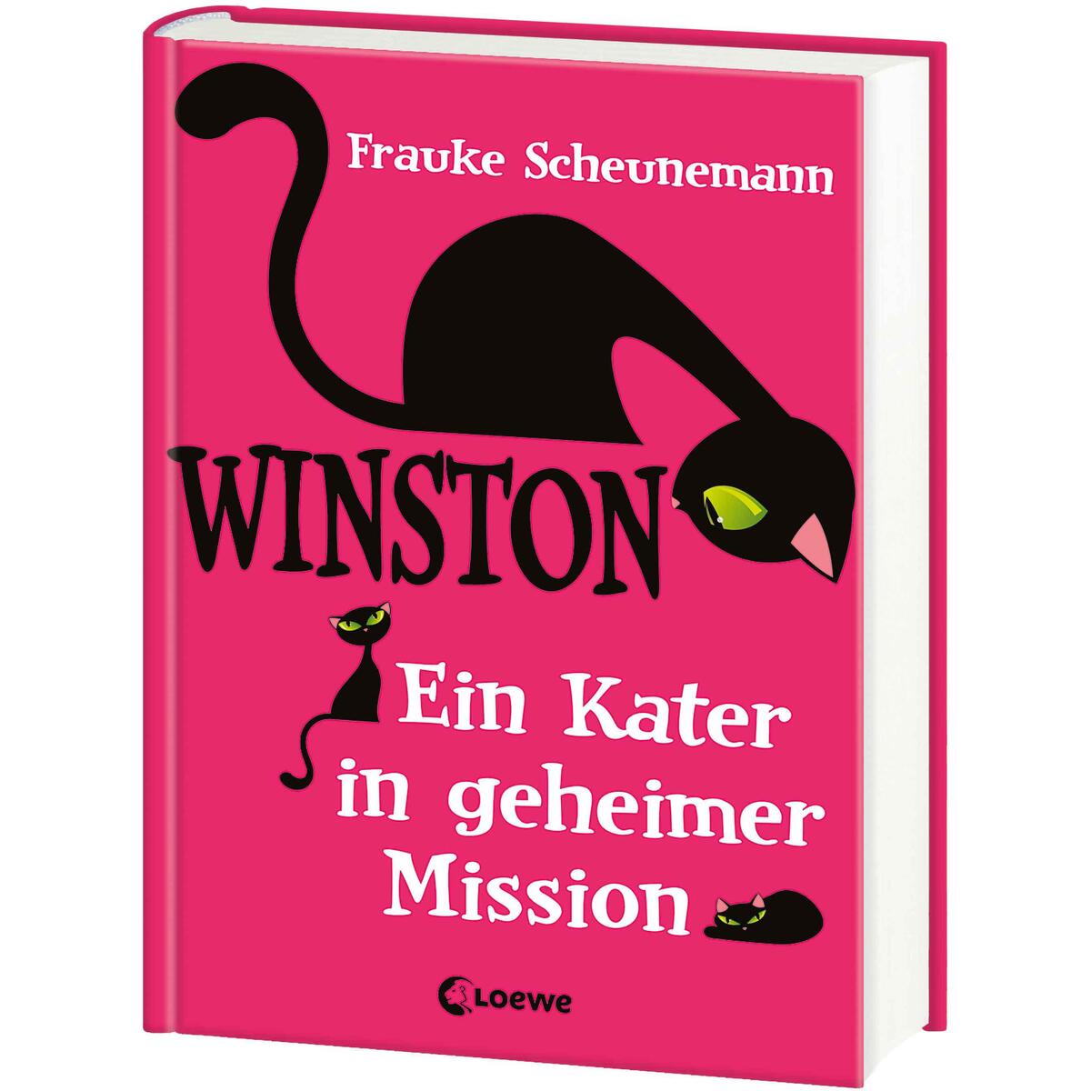 Ein Kater in geheimer Mission von Loewe Verlag
