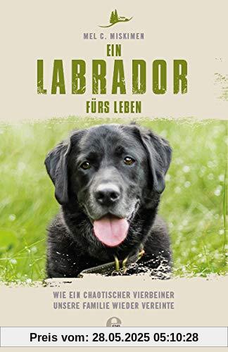 Ein Labrador fürs Leben: Wie ein chaotischer Vierbeiner unsere Familie wieder vereinte