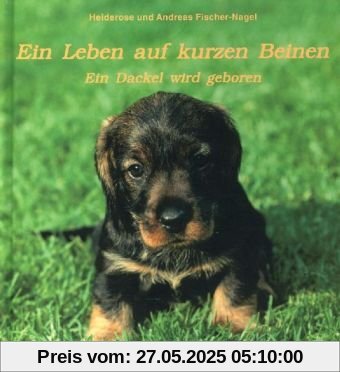Ein Leben auf kurzen Beinen. Ein Dackel wird geboren Ein Leben auf kurzen Beinen. Ein Dackel wird geboren