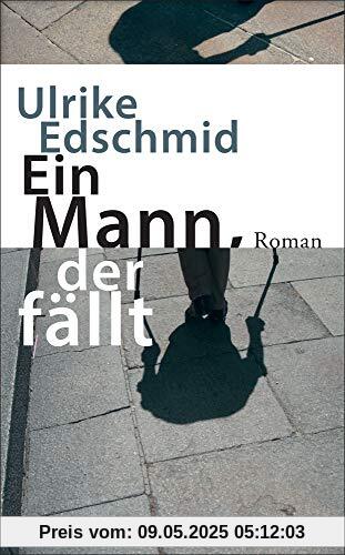 Ein Mann, der fällt: Roman (suhrkamp taschenbuch)