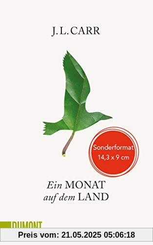 Ein Monat auf dem Land: Roman