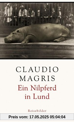 Ein Nilpferd in Lund: Reisebilder
