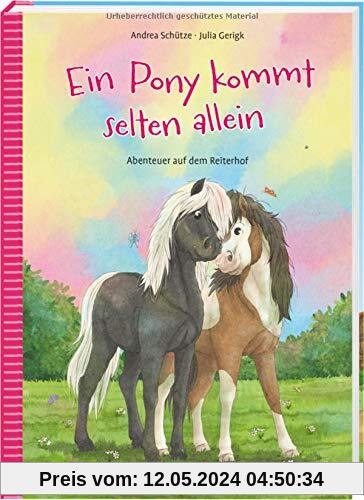Ein Pony kommt selten allein: Abenteuer auf dem Reiterhof