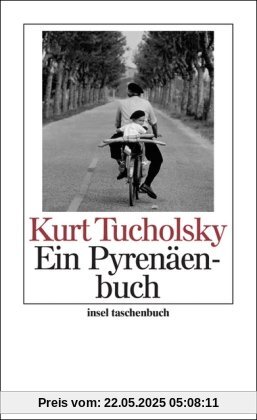 Ein Pyrenäenbuch (insel taschenbuch)