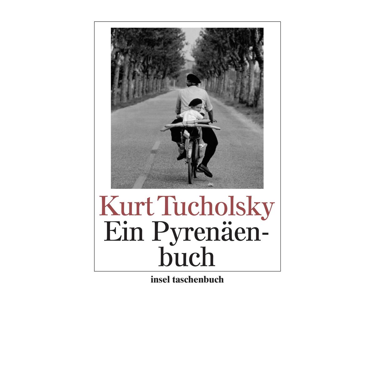 Ein Pyrenäenbuch Ein Pyrenäenbuch von Insel Verlag GmbH