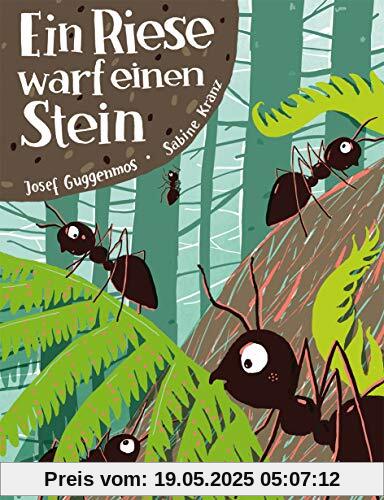 Ein Riese warf einen Stein: Vierfarbiges Bilderbuch