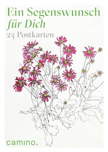 Ein Segenswunsch für Dich: 24 Postkarten von camino