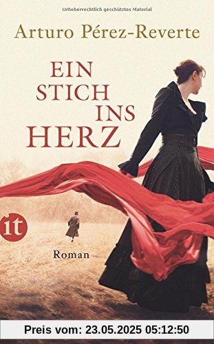 Ein Stich ins Herz: Roman (insel taschenbuch)