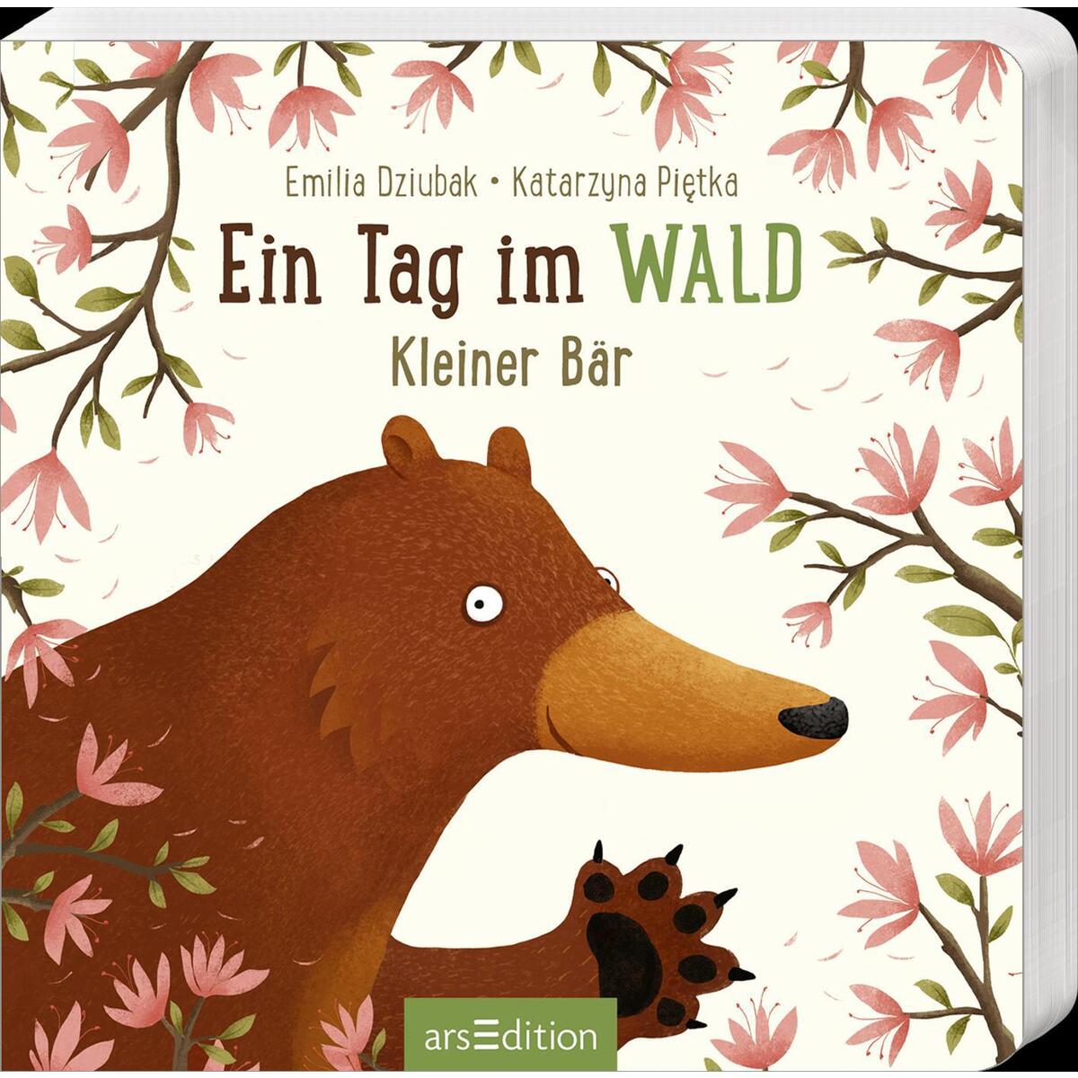 Ein Tag im Wald: Kleiner Bär von Ars Edition GmbH