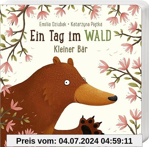 Ein Tag im Wald: Kleiner Bär: Erstes Pappbilderbuch zum Bilderbuchbestseller Ein Jahr im Wald für Kinder ab 18 Monaten
