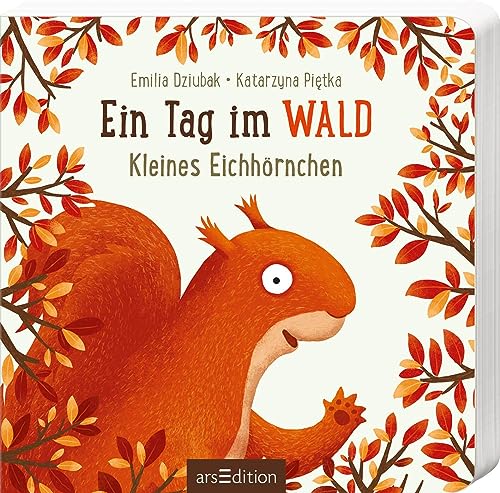 Ein Tag im Wald: Kleines Eichhörnchen: Erstes Pappbilderbuch zum Bilderbuchbestseller "Ein Jahr im Wald" für Kinder ab 18 Monaten von arsEdition GmbH