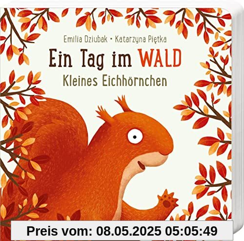 Ein Tag im Wald: Kleines Eichhörnchen: Erstes Pappbilderbuch zum Bilderbuchbeststeller Ein Jahr im Wald für Kinder ab 18 Monaten