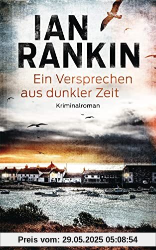 Ein Versprechen aus dunkler Zeit: Kriminalroman (Ein Inspector-Rebus-Roman, Band 23)