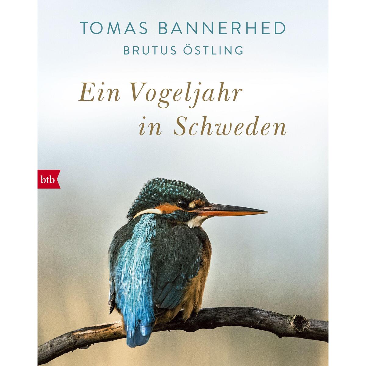 Ein Vogeljahr in Schweden Ein Vogeljahr in Schweden von btb