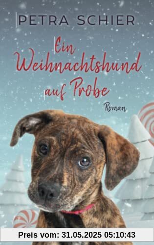 Ein Weihnachtshund auf Probe Ein Weihnachtshund auf Probe