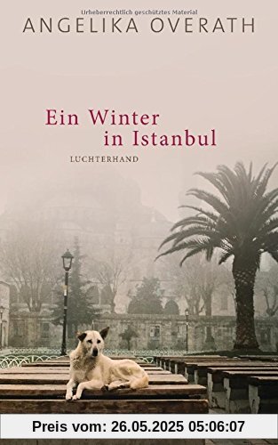 Ein Winter in Istanbul: Roman