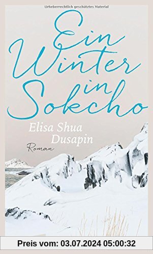Ein Winter in Sokcho: Roman
