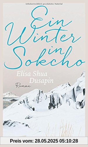 Ein Winter in Sokcho: Roman