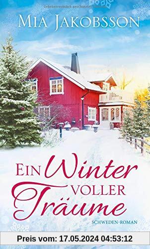 Ein Winter voller Träume: Schweden-Roman