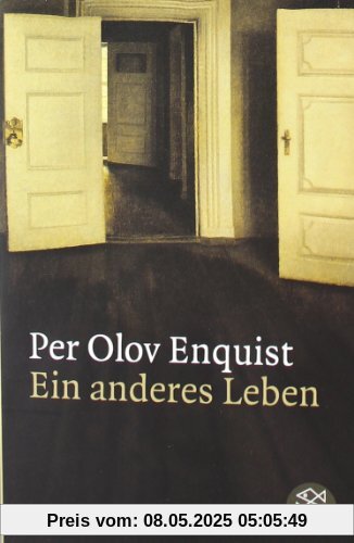 Ein anderes Leben: Roman