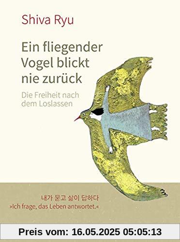 Ein fliegender Vogel blickt nie zurück: Die Freiheit nach dem Loslassen