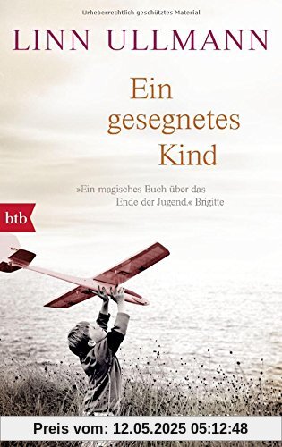 Ein gesegnetes Kind: Roman
