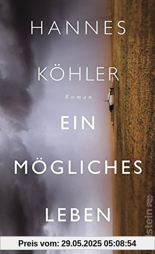 Ein mögliches Leben: Roman