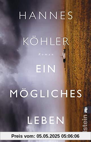 Ein mögliches Leben: Roman