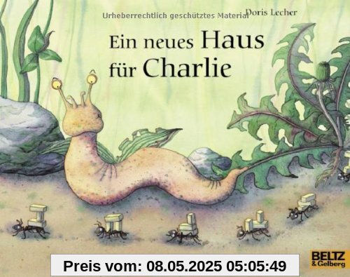 Ein neues Haus für Charlie: Vierfarbiges Bilderbuch