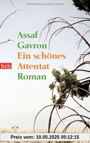 Ein schönes Attentat: Roman