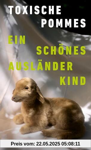 Ein schönes Ausländerkind: Roman