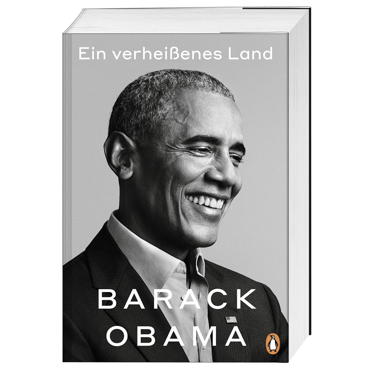 Ein verheißenes Land von Penguin TB Verlag