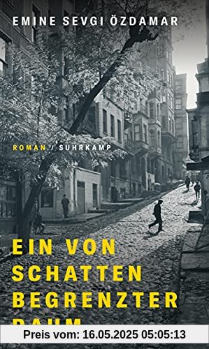 Ein von Schatten begrenzter Raum: Roman