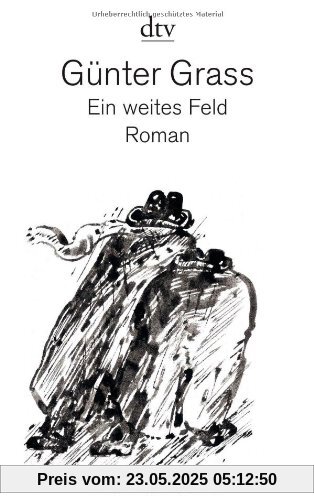 Ein weites Feld: Roman