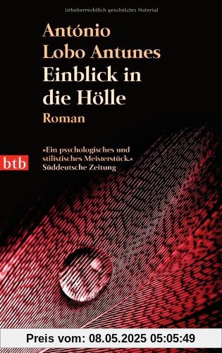 Einblick in die Hölle: Roman