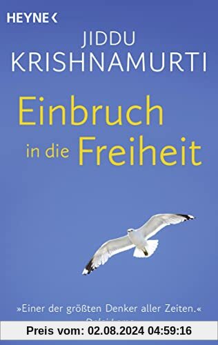 Einbruch in die Freiheit