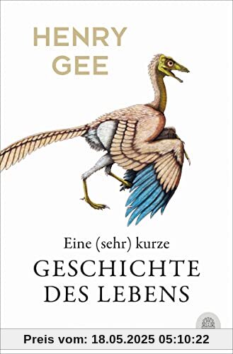 Eine (sehr) kurze Geschichte des Lebens